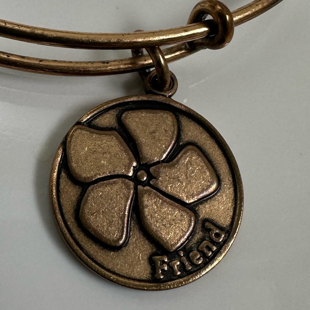 Alex and Ani Friend bracelet